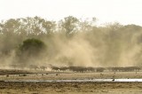 Searching the barren waste for a taste of water