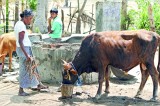 Water reserves now critical at just 15 p.c. in north and east