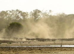 Searching the barren waste for a taste of water