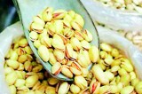 Pistachios ‘can protect  the hearts of diabetics’