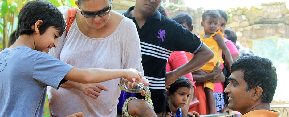 Fancy petting a python? Snuggling up to a sand boa?