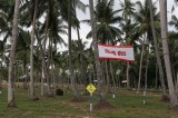 Coconut land for housing?