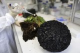 Tire makers race to turn dandelions into rubber