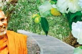 Documentary films on Anuradhapura and Namal Uyana on DVD format