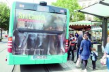 Sri Lankan elephant on a German bus