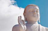 The middle path  and the way forward for Buddhism in  the 21st Century