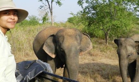 Coming back home for  the love of elephants