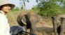 Coming back home for  the love of elephants