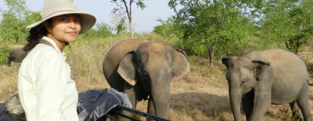 Coming back home for  the love of elephants