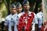 Paper poppies that go a long way