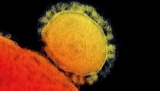 Saudi Arabia tackles MERS virus, still hunting source