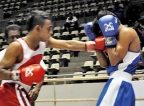 Army, Slimline pugilists dominate