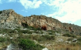 Did humans first master fire in Israel 350,000 years ago?