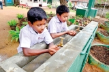 Fonterra anchors to grass roots with clean water, sanitary facilities to school