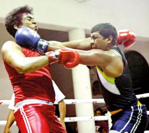 Action at ABA Men and Women Junior National Boxing.
