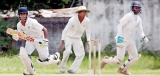 Kandy awaiting school cricket