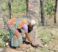 Ceylonkarans, our lost tribe in Kerala