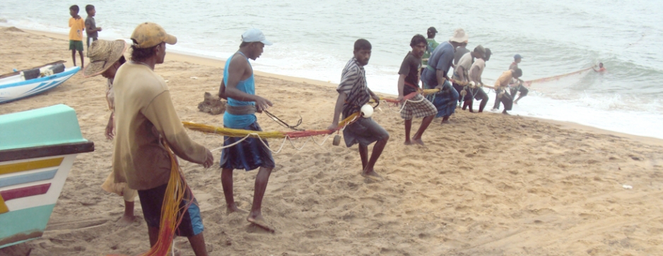 Fishing around in Chilaw