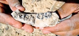 Dawn of man: Ethiopian jawbone fossil pushes back human origins