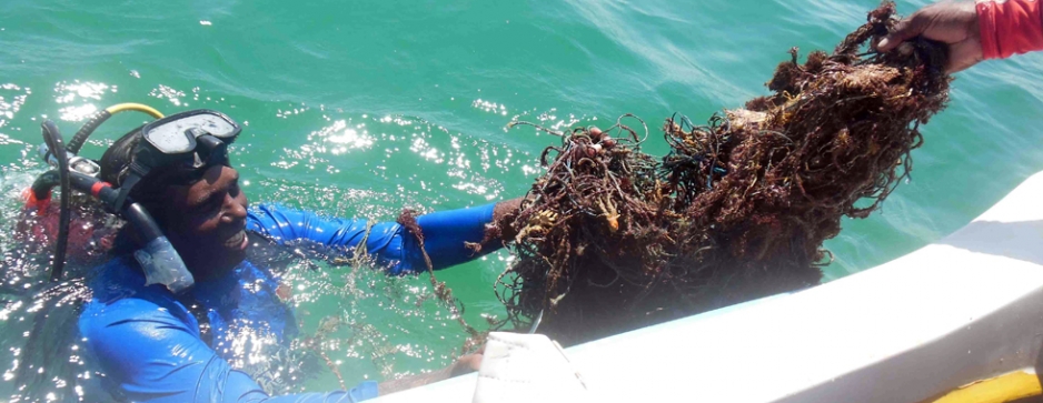 Kalpitiya fishermen ride roughshod over beautiful corals