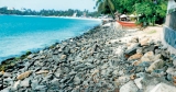 Dept. claims coral, beach defence plans in hand Dept. claims coral, beach defence plans in hand