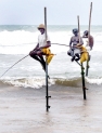 Stilt fishermen of the southern coast