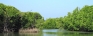 Cruising down the ecology of the Negombo lagoon