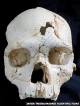 Blow after blow: Evidence of  430,000-year-old human violence found