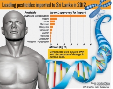 Glyphosate ban mired in confusion