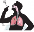 Lung cancer: Smoking the biggest threat