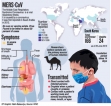Sri Lanka on ‘Red Alert’ for MERS virus -Health Ministry