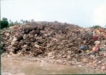 Grand garbage plan creates stink in Rathgama