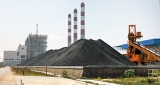 Rs. 50 b coal tender up for grabs; backroom manoeuvres to clinch deal