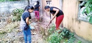 Sirio---cleaning-garden-2