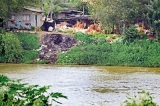 Killing the Kelani River