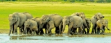 UK’s ‘Sunday Times’ picks Sri Lanka as ‘Destination of the Year’