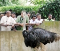 Wildlife minister orders multiple probes to clean up zoo