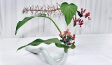 The art of Ikebana unfolds