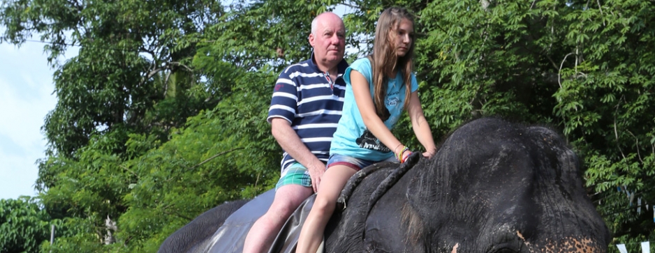 Elephant rides face oblivion from European call to action on cruelty