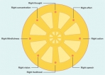 The Noble Eight-Fold Path and the judicial process