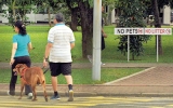 Walking tracks turn into danger zones