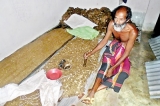 Livelihood project to help Kuchchaveli villagers Livelihood project to help Kuchchaveli villagers