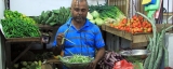 Veggie prices down, but consumers  slow to respond