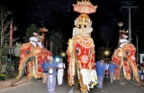 The annual Kelaniya Duruthu Maha Perahera was held this week