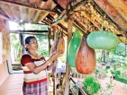 Fruity haven to historic cave; not far from Colombo