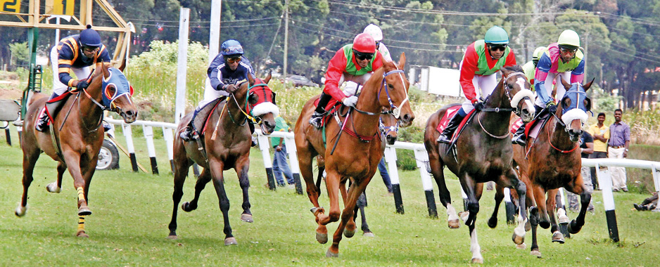 RTC takes charge of the stables