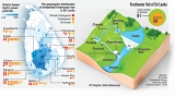 Mini hydros: Clean energy comes at high cost to Nature