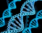Genomic Medicine – Next big thing in healthcare