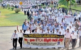 Interim ETCA with India in March; final deal in five months