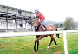 Record sum on offer as prize money at N’ Eliya horse races on March 20